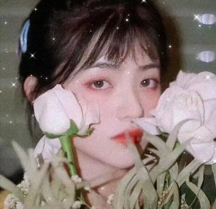 珍的不一样第二季