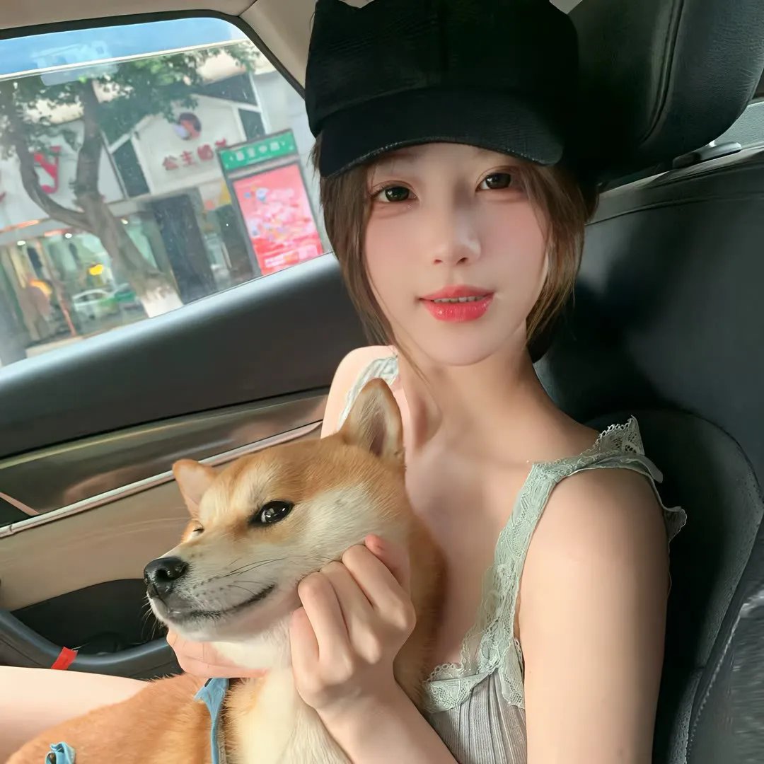 桃花坞开放中第四季